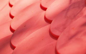 Shottenden plastic roof costs