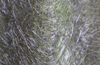 Shottenden fibreglass roof work